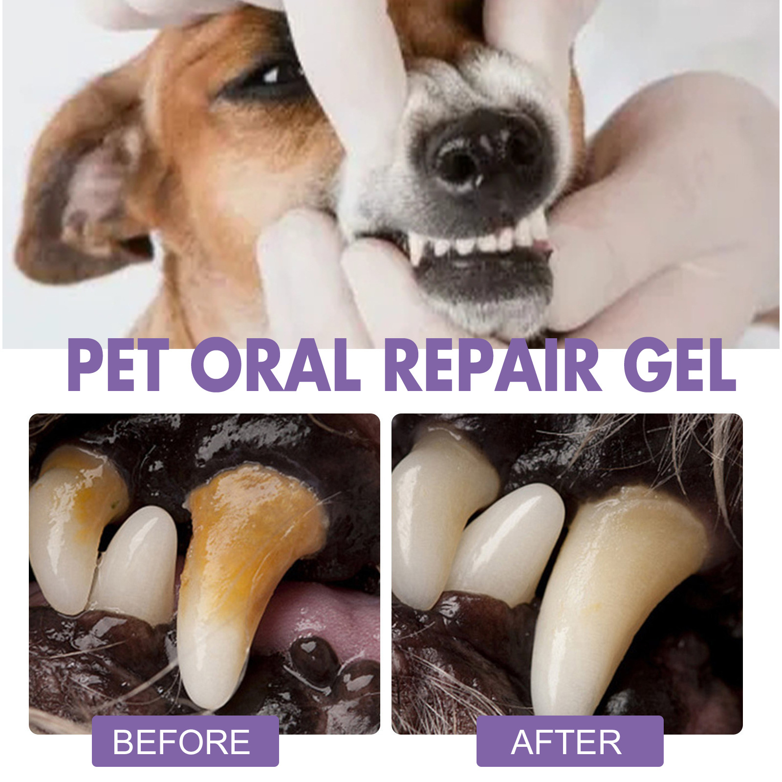 Pet Oral Repair Gel Puppy Tart - Teeth Whitening Paste recension och pris